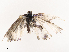  ( - CBG-B19180-A06)  @11 [ ] CreativeCommons - Attribution Share - Alike (2025) CBG Photography Group Centre for Biodiversity Genomics