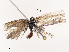  ( - CBG-B19180-A10)  @11 [ ] CreativeCommons - Attribution Share - Alike (2025) CBG Photography Group Centre for Biodiversity Genomics