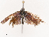  ( - CBG-B19180-A11)  @11 [ ] CreativeCommons - Attribution Share - Alike (2025) CBG Photography Group Centre for Biodiversity Genomics