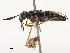  ( - CBG-B19181-E12)  @11 [ ] CreativeCommons - Attribution Share - Alike (2025) CBG Photography Group Centre for Biodiversity Genomics