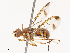  ( - CBG-B19181-G02)  @11 [ ] CreativeCommons - Attribution Share - Alike (2025) CBG Photography Group Centre for Biodiversity Genomics