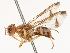  ( - CBG-B19181-G04)  @11 [ ] CreativeCommons - Attribution Share - Alike (2025) CBG Photography Group Centre for Biodiversity Genomics
