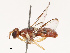  ( - CBG-B19181-G07)  @11 [ ] CreativeCommons - Attribution Share - Alike (2025) CBG Photography Group Centre for Biodiversity Genomics