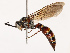  ( - CBG-B07577-A05)  @11 [ ] CreativeCommons - Attribution Share - Alike (2025) CBG Photography Group Centre for Biodiversity Genomics