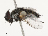  ( - CBG-B07594-A05)  @11 [ ] CreativeCommons - Attribution Share - Alike (2025) CBG Photography Group Centre for Biodiversity Genomics