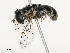  ( - CBG-B07594-A06)  @11 [ ] CreativeCommons - Attribution Share - Alike (2025) CBG Photography Group Centre for Biodiversity Genomics