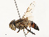  ( - CBG-B07594-B11)  @11 [ ] CreativeCommons - Attribution Share - Alike (2025) CBG Photography Group Centre for Biodiversity Genomics