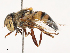 ( - CBG-B07604-B07)  @11 [ ] CreativeCommons - Attribution Share - Alike (2025) CBG Photography Group Centre for Biodiversity Genomics