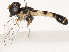  ( - CBG-B07604-E10)  @11 [ ] CreativeCommons - Attribution Share - Alike (2025) CBG Photography Group Centre for Biodiversity Genomics