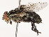  ( - CBG-B14790-B04)  @11 [ ] CreativeCommons - Attribution Share - Alike (2025) CBG Photography Group Centre for Biodiversity Genomics