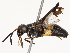  ( - CBG-B14790-E02)  @11 [ ] CreativeCommons - Attribution Share - Alike (2025) CBG Photography Group Centre for Biodiversity Genomics