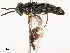  ( - CBG-B14790-F01)  @11 [ ] CreativeCommons - Attribution Share - Alike (2025) CBG Photography Group Centre for Biodiversity Genomics