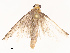 ( - CBG-B07471-E12)  @11 [ ] CreativeCommons - Attribution Share - Alike (2025) CBG Photography Group Centre for Biodiversity Genomics