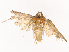  ( - CBG-B07471-F02)  @11 [ ] CreativeCommons - Attribution Share - Alike (2025) CBG Photography Group Centre for Biodiversity Genomics