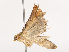  ( - CBG-B07576-A06)  @11 [ ] CreativeCommons - Attribution Share - Alike (2025) CBG Photography Group Centre for Biodiversity Genomics