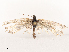  ( - CBG-B07576-D10)  @11 [ ] CreativeCommons - Attribution Share - Alike (2025) CBG Photography Group Centre for Biodiversity Genomics