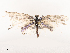  ( - CBG-B07576-D12)  @11 [ ] CreativeCommons - Attribution Share - Alike (2025) CBG Photography Group Centre for Biodiversity Genomics