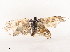  ( - CBG-B07576-E05)  @11 [ ] CreativeCommons - Attribution Share - Alike (2025) CBG Photography Group Centre for Biodiversity Genomics