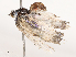  ( - CBG-B07576-E11)  @11 [ ] CreativeCommons - Attribution Share - Alike (2025) CBG Photography Group Centre for Biodiversity Genomics
