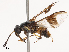  ( - CBG-B07599-G01)  @11 [ ] CreativeCommons - Attribution Share - Alike (2025) CBG Photography Group Centre for Biodiversity Genomics
