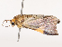  ( - CBG-B19185-H03)  @11 [ ] CreativeCommons - Attribution Share - Alike (2025) CBG Photography Group Centre for Biodiversity Genomics