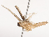  ( - CBG-B21616-A01)  @11 [ ] CreativeCommons - Attribution Share - Alike (2025) CBG Photography Group Centre for Biodiversity Genomics