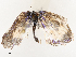  ( - CBG-B07454-A05)  @11 [ ] CreativeCommons - Attribution Share - Alike (2025) CBG Photography Group Centre for Biodiversity Genomics