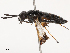  ( - CBG-B07606-E01)  @11 [ ] CreativeCommons - Attribution Share - Alike (2025) CBG Photography Group Centre for Biodiversity Genomics