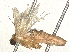  ( - CBG-B07606-E05)  @11 [ ] CreativeCommons - Attribution Share - Alike (2025) CBG Photography Group Centre for Biodiversity Genomics
