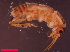  ( - USGSJJGZAP2014X1)  @11 [ ] CreativeCommons - Attribution Non-Commercial Share-Alike (2016) Unspecified U. S. Geological Survey
