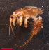  ( - USGSJJGZAP2025A1)  @11 [ ] CreativeCommons - Attribution Non-Commercial Share-Alike (2016) Unspecified U. S. Geological Survey