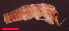  ( - USGSJJGZAP2328Q1)  @11 [ ] CreativeCommons - Attribution Non-Commercial Share-Alike (2016) Unspecified U. S. Geological Survey