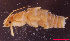  ( - USGSJJGZAP2348A1)  @11 [ ] CreativeCommons - Attribution Non-Commercial Share-Alike (2016) Unspecified U. S. Geological Survey