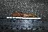  ( - HKL-G175)  @11 [ ] Unspecified (default): All Rights Reserved  Unspecified Unspecified