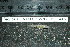  ( - HKL-G112)  @12 [ ] Unspecified (default): All Rights Reserved  Unspecified Unspecified