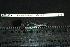  ( - HKL-G142)  @11 [ ] Unspecified (default): All Rights Reserved  Unspecified Unspecified