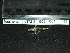  ( - HKL-G125)  @12 [ ] Unspecified (default): All Rights Reserved  Unspecified Unspecified