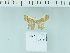  ( - IJ2737)  @11 [ ] CreativeCommons - Attribution Share-Alike (2024) Dr Jatishwor Irungbam Private Collection of Jatishwor Irungbam