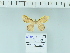  ( - IJ984)  @11 [ ] CreativeCommons - Attribution Share-Alike (2024) Dr Jatishwor Irungbam Private Collection of Jatishwor Irungbam