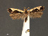  ( - SL0305)  @13 [ ] CreativeCommons - Attribution (2010) Unspecified Centre for Biodiversity Genomics