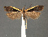  ( - SL0315)  @13 [ ] CreativeCommons - Attribution (2010) Unspecified Centre for Biodiversity Genomics