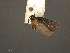  ( - SL0389)  @13 [ ] CreativeCommons - Attribution (2010) Unspecified Centre for Biodiversity Genomics