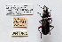  ( - DNA4727)  @11 [ ] Unspecified (default): All Rights Reserved  Unspecified University of Arizona, Insect Collection