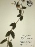  ( - GPAGA 179)  @11 [ ] Copyright (2017) Columbus State University Columbus State University