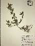  ( - GPAGA 187)  @11 [ ] Copyright (2017) Columbus State University Columbus State University