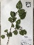  ( - GPAGA 236)  @11 [ ] Copyright (2017) Columbus State University Columbus State University