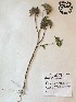  ( - GPAGA 335)  @11 [ ] Copyright (2017) Columbus State University Columbus State University