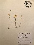  ( - GPAGA 366)  @11 [ ] Copyright (2017) Columbus State University Columbus State University