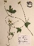  ( - GPAGA 392)  @11 [ ] Copyright (2017) Columbus State University Columbus State University