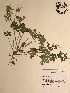  ( - GPAGA 408)  @11 [ ] Copyright (2017) Columbus State University Columbus State University